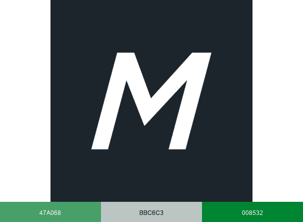 Motion Recruitment brand color palette