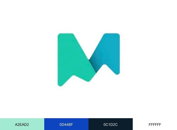 MNTN brand color palette