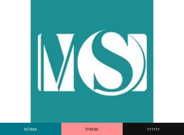 MS Electronics Ltd brand color palette