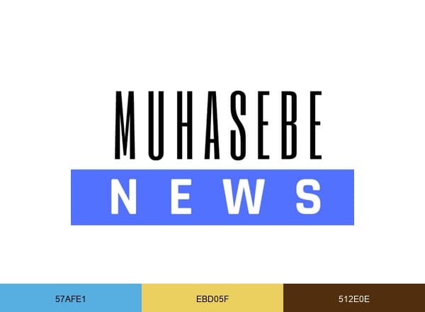 Muhasebe News brand color palette