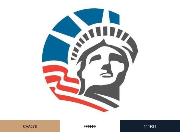 Murthy Law Firm : U.S. Immigration brand color palette