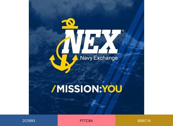 Navy Exchange brand color palette