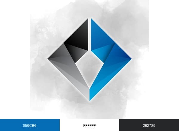Next Level Physical Therapy brand color palette