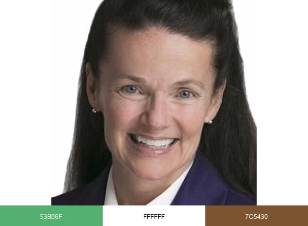 Nancy Myrland Legal Social & Digital Media Advisor brand color palette