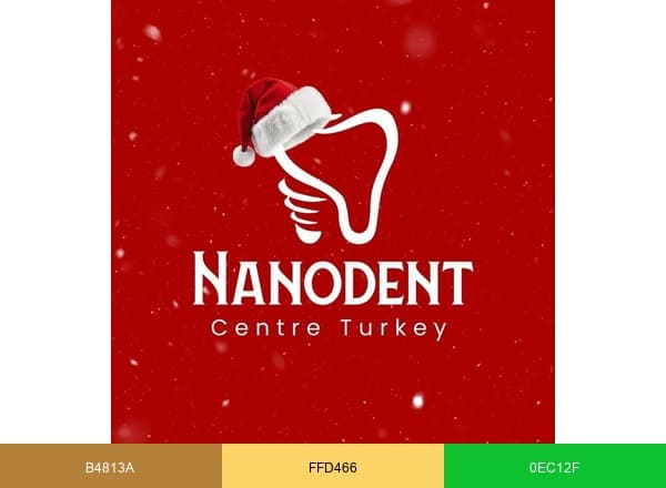 NanodentTurkey brand color palette