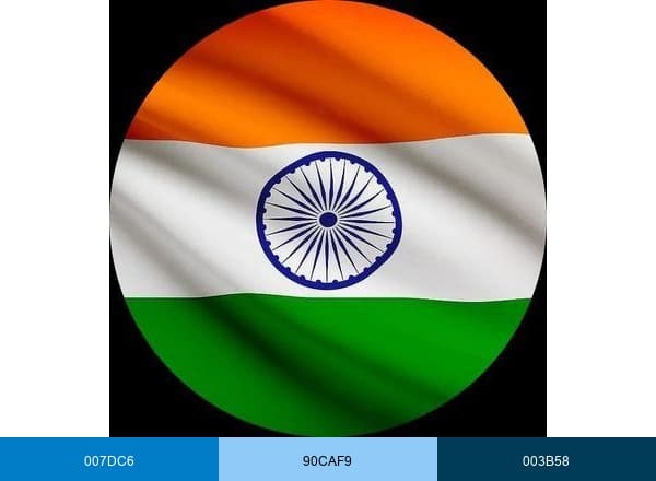 ICMR- NCDIR brand color palette