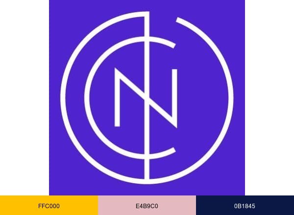 National Center on Education & the Economy brand color palette
