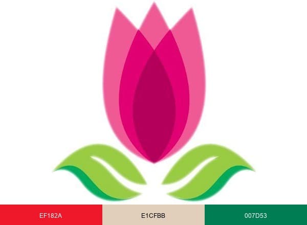 Nelly Florist Bandung brand color palette