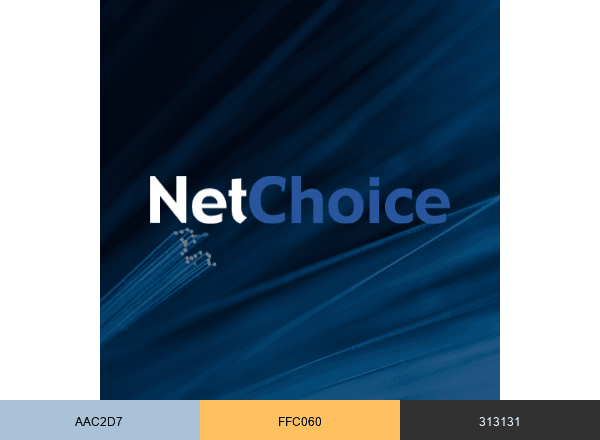 NetChoice brand color palette