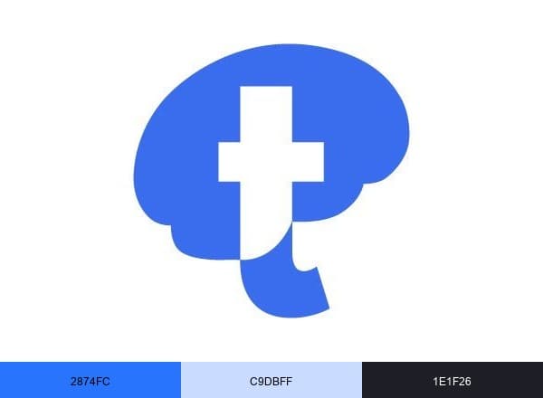 Neurocirugia Torres brand color palette
