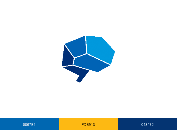 NeuroLeadership Institute brand color palette