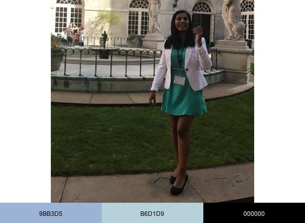 Anisha Desai 🧠brand color palette