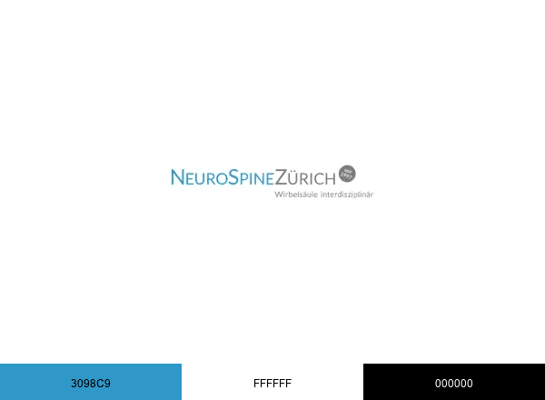 NeuroSpineZürich brand color palette