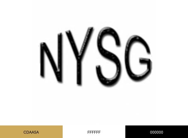 NewYorkStyleGuide brand color palette
