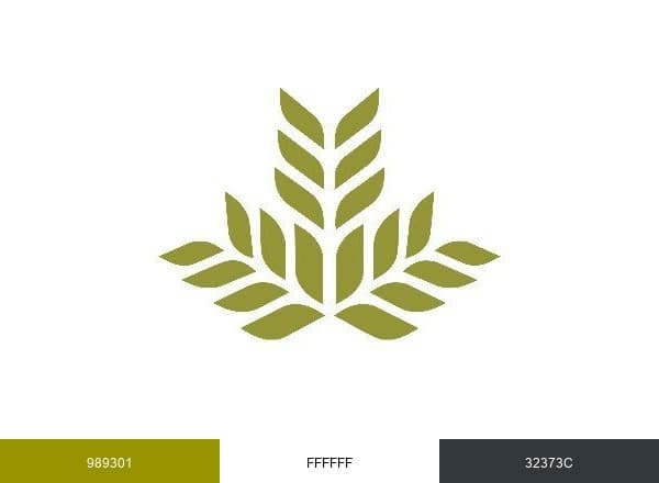 NGHS brand color palette