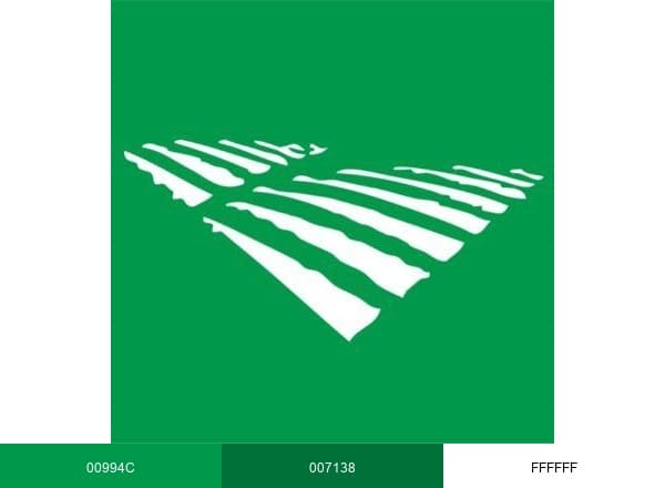 Nieuwe Oogst brand color palette