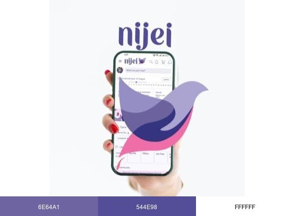 Nijei brand color palette