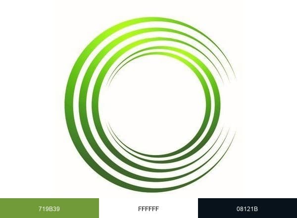Total Health brand color palette