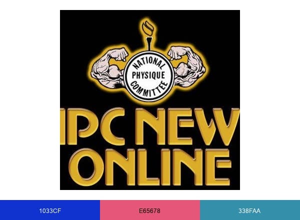 NPC News Online brand color palette