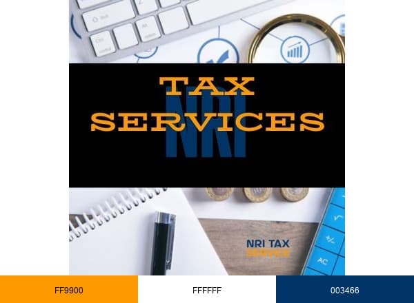 NRI Tax Services brand color palette