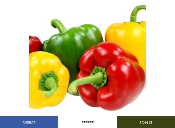 NYphotographic brand color palette