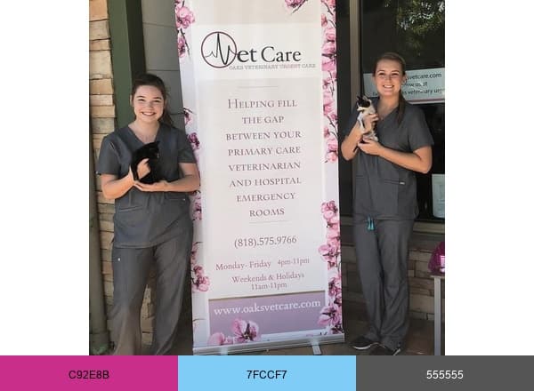 Oaks Vet Care brand color palette