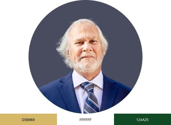 Alan R Eber JD LLM brand color palette