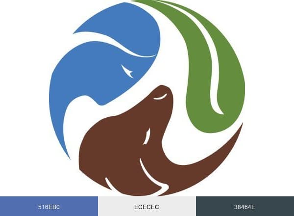 OneHealth.org brand color palette