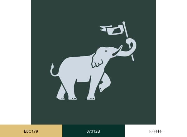 One Kings Lane brand color palette