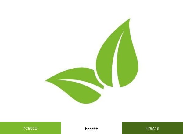 Organifer brand color palette
