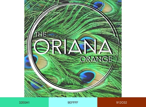 Oriana Orange brand color palette