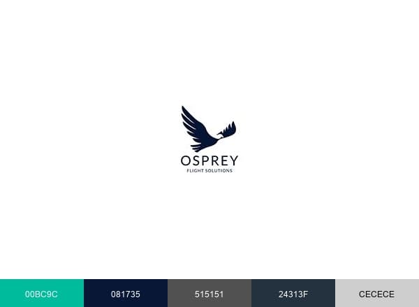Osprey Flight Solutions brand color palette