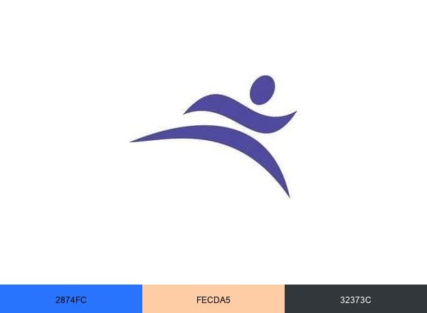 OSR Physical Therapy brand color palette