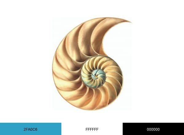 Overbury brand color palette