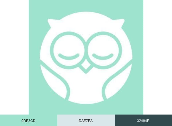 Owlet brand color palette