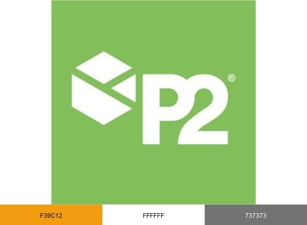 P2 Energy Solutions brand color palette