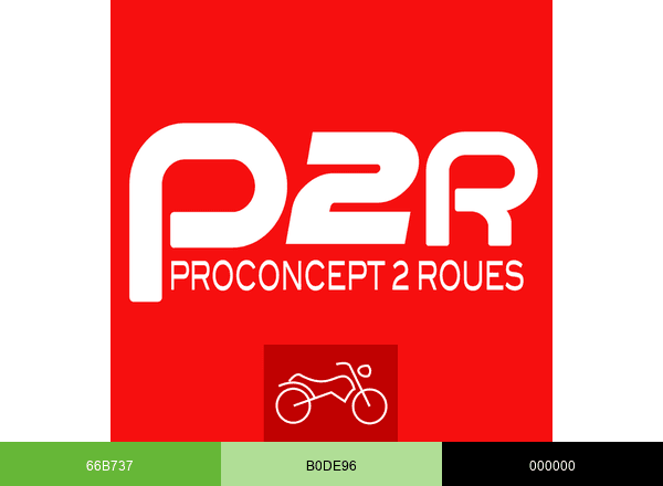 P2R Moto brand color palette