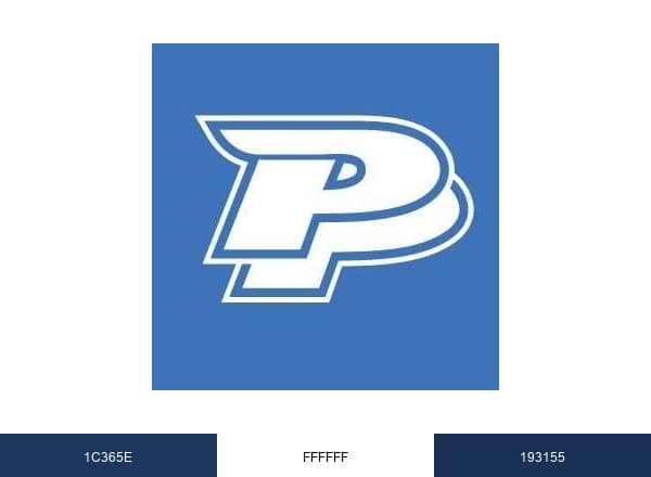 Painful Pleasures brand color palette