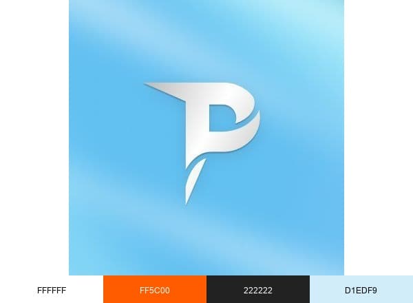 Paladium brand color palette