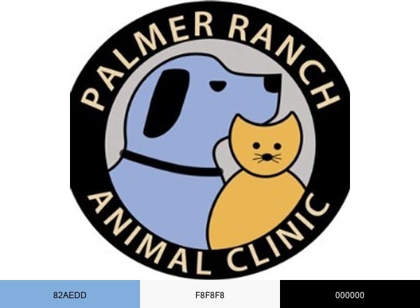 Palmer Ranch Clinic brand color palette