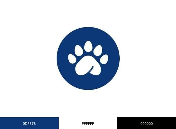 Pandapé LATAM brand color palette