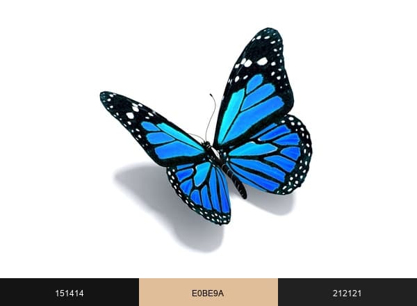 Papillon Interior Designs brand color palette