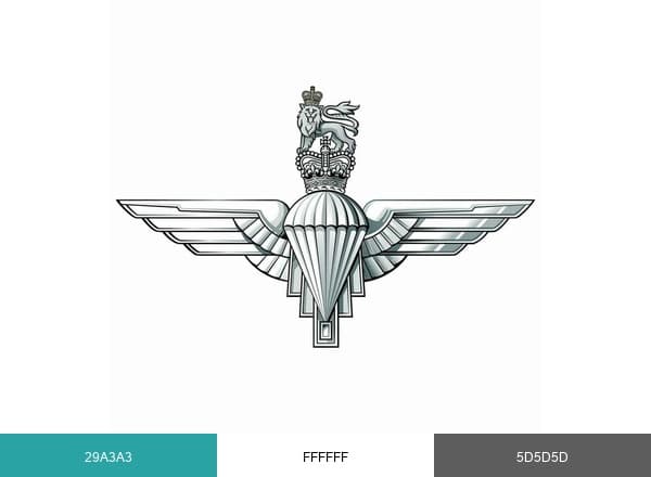 The Parachute Regiment brand color palette