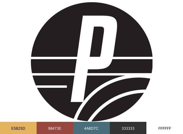 Parallelag brand color palette