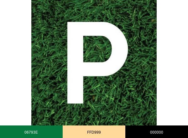 Paramount Landscaping brand color palette