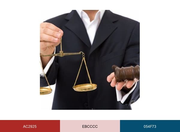 Pathlegal USA brand color palette