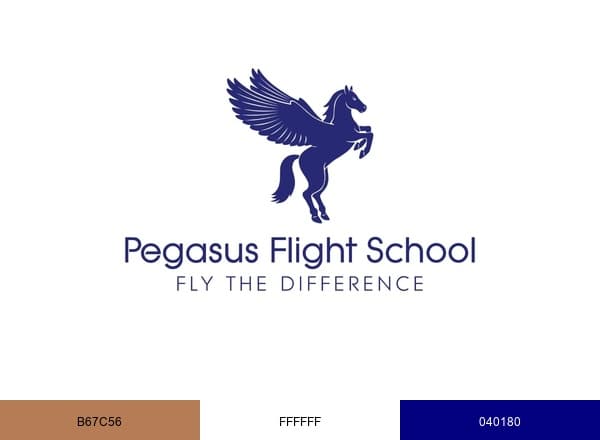 Pegasus Flight School brand color palette