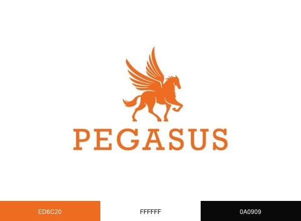 Pegasus Michigan brand color palette