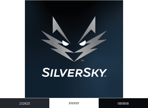 SilverSky brand color palette