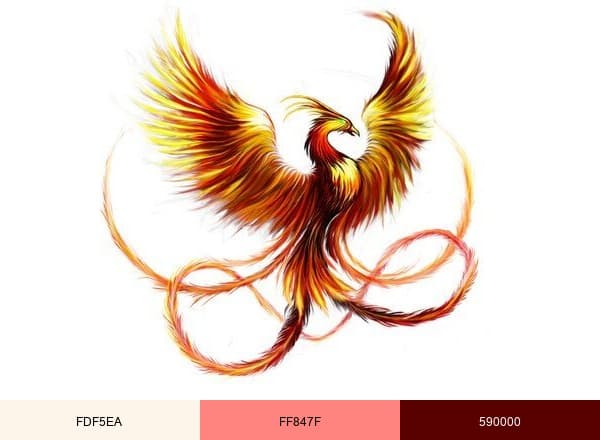 Phoenix Veterinary brand color palette